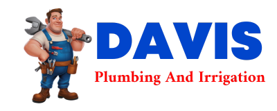 Trusted plumber in DUPO